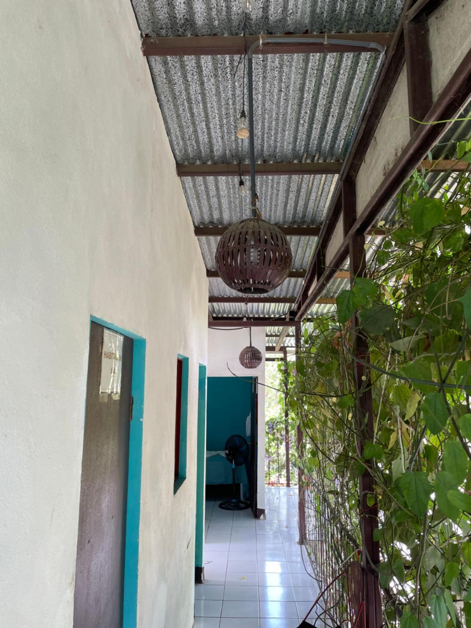 Hostal Isla Natal Moyogalpa Exterior photo